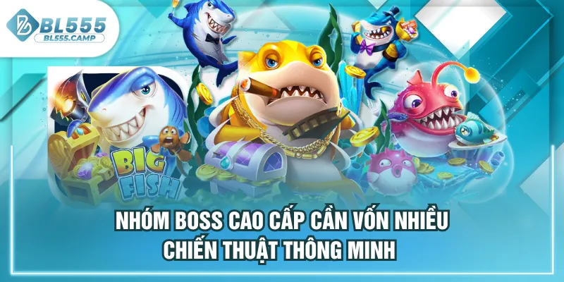 nhóm boss cao cấp 